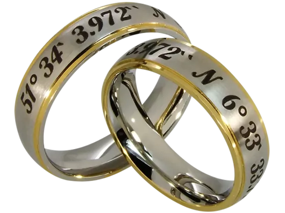 Aramis- a pair of coordinate rings (stainless steel)